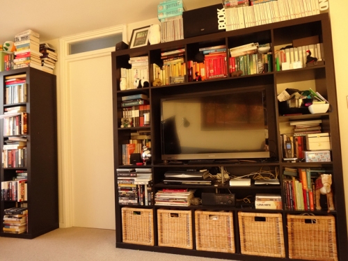 Living-room-shelves