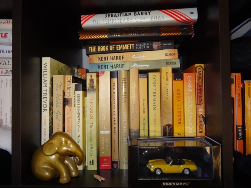 Yellow-shelf